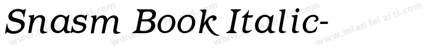 Snasm Book Italic字体转换